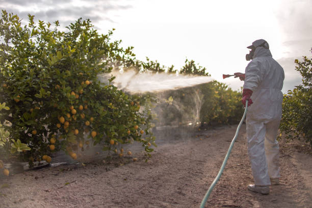 Best Cockroach Control Services  in La Feria, TX