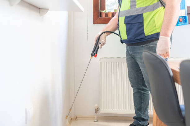 Best Emergency Pest Control  in La Feria, TX